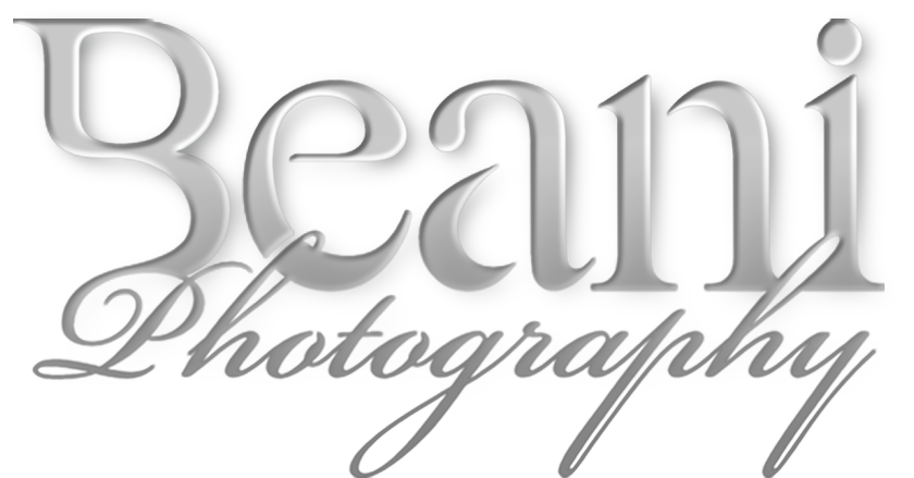 Beani Photography Company Logo