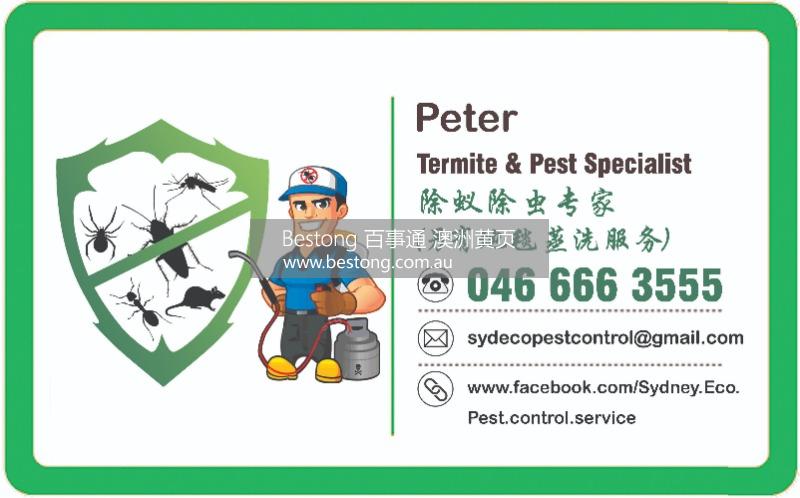 悉尼环保除虫 Sydney Eco Pest Control  商家 ID： B12823 Picture 1