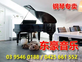 墨尔本钢琴乐器钢琴行 东豪音乐 Sky Music Supplies
