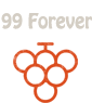 Diamond Forever 99 Company Logo