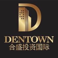 DT Group Company Logo