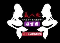❤️❤️美人鱼❤️❤️后宫团❤️❤️ Company Logo