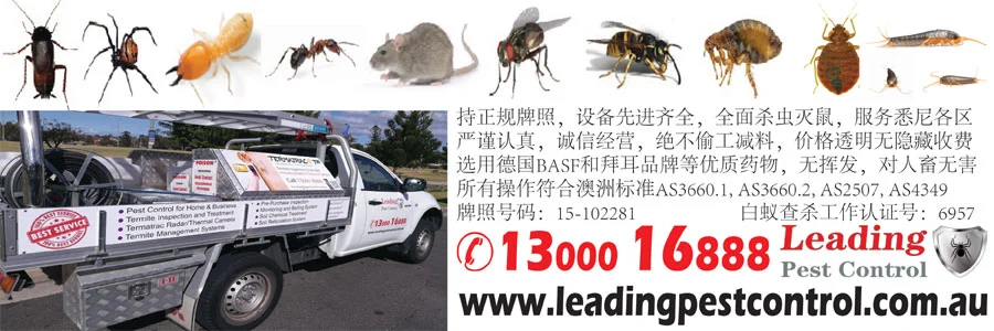 悉尼杀虫灭鼠白蚁专家 Leading Pest Control
