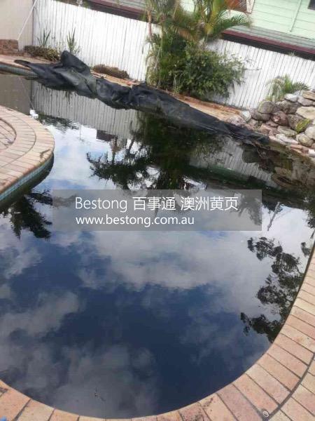 布里斯本华人游泳池公司服务  商家 ID： B10315 Picture 2