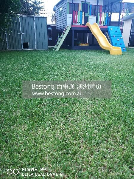 Green Home cleaning services p  商家 ID： B10550 Picture 4