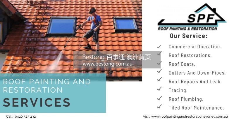 Roof Painting and Restoration   商家 ID： B13898 Picture 1